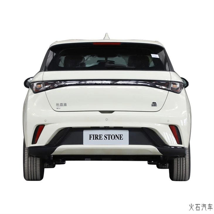 BYD Dolphin Car 2
