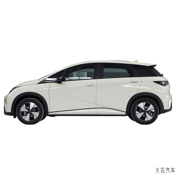 BYD Dolphin Car 3